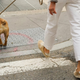 Imagen para el artículo titulado Cómo saber si hace demasiado calor para sacar a pasear a tu perro